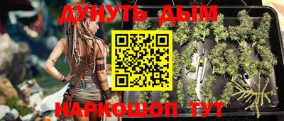 мяу мяу мука Малоярославец